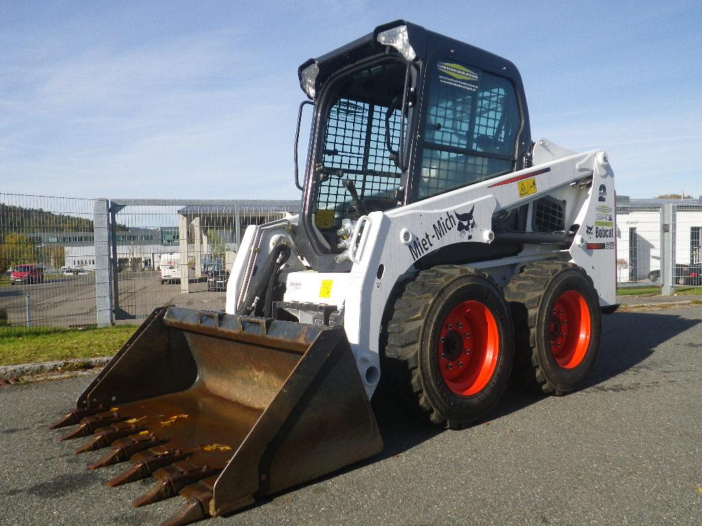 bobcat